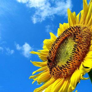 宋梓钰我想你了