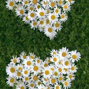 有点甜-发展心理学版