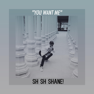 You Want Me