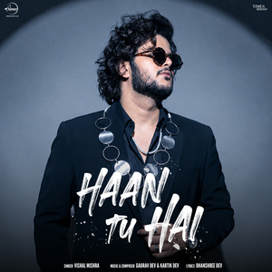 Haan Tu Hai (From "Shera")