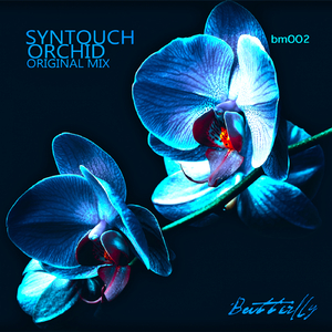 Orchid (Original Mix)