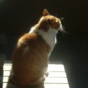 Quiet Thoughts at Bedtime