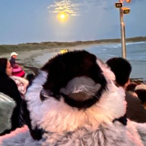 月光漫步(Prod By Scorpion)