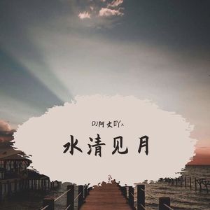 水清见月（DJ阿文吖x remix）