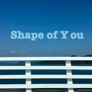 Shape of You(Sidechainer Bootleg)