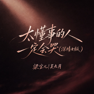 太懂事的人一定会哭(深情女版)