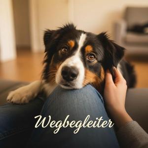 Wegbegleiter