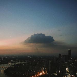 多情种（Cover：要不要买菜）（Demo）