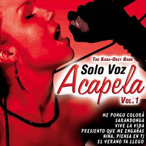 Sarandonga (Karaoke Version)