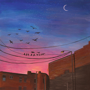 Seagulls in the City