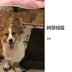 柯基情歌(demo)(prod. XIXI)