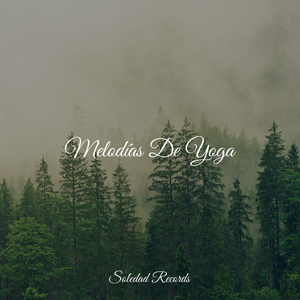 Lágrimas Felices Como Olas