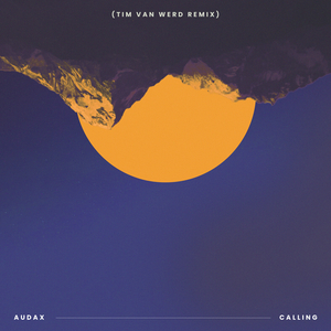 Calling (Tim van Werd Remix)