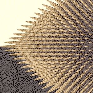 Night Club Party Zone