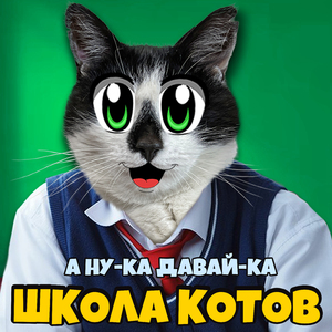 Школа котов