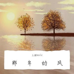 那年的风