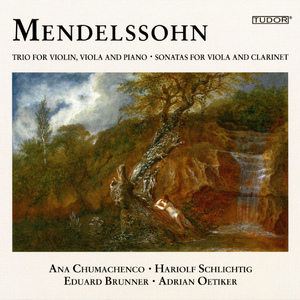 Viola Sonata in C Minor, MWV Q14:III. Andante con variazioni