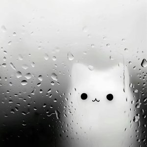 雨痕