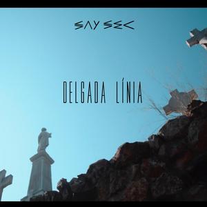 Delgada línia