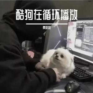 酷狗在循环播放