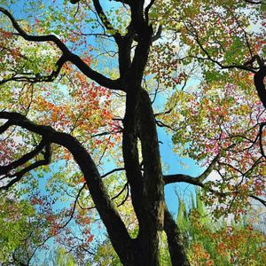 安静是一种爆发