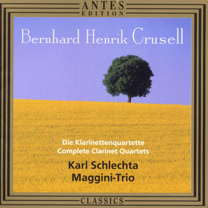 Quartett C-Moll op. 4 - Allegro molto agitato
