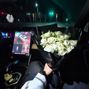 舒畅半死