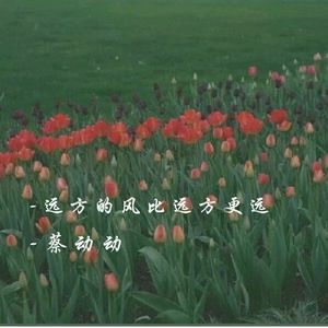 你的春风何时来