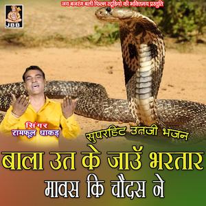 बाला ऊत के जाऊ भरतार मावस की चौदस ने || रामफुल धाकड़ || ऊत जी भजन