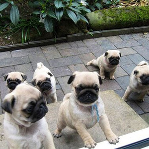 Here Comes The Rain Again (Nightcore)