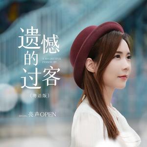 遗憾的过客 (粤语DJ九零版)