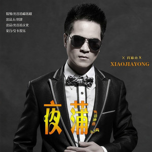 夜蒲 (DJ杨铭权 Remix)