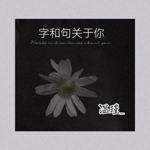 字和句关于你