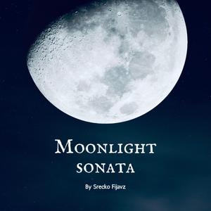 L.V.Beethoven Moonlight Sonata