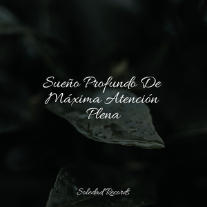 Manteniéndolo Tranquilo