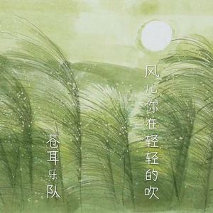 风儿你在轻轻的吹