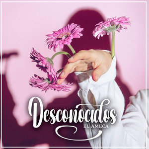 Desconocidos