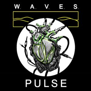 Pulse