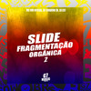 DJ Shadow ZN - Slide Fragmentação Orgânica 2
