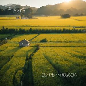 田园慢生活 乡村田园BGM
