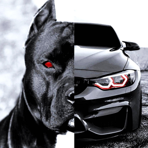 Новая хитовая лезгинка в машину