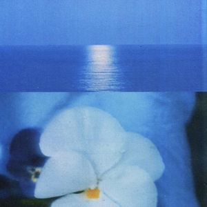 Jazz Hiphop Beat | "Choosey Lover"