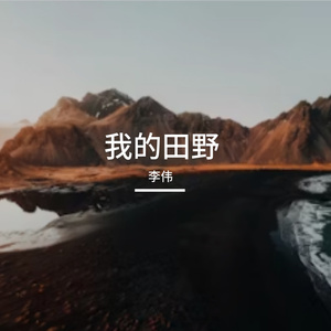 我的田野