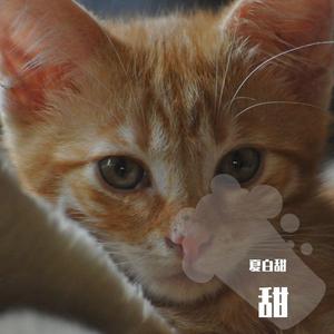 新录音 3