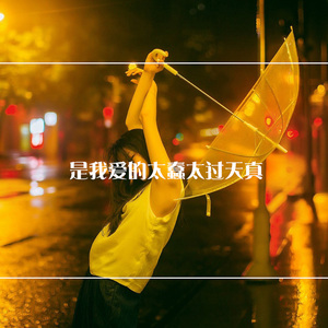 是我爱的太蠢太过天真