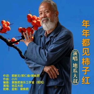 年年都见柿子红
