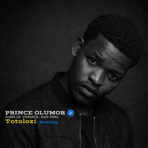 Totolozi (Bootleg) (feat. Mashiyarh_sa)