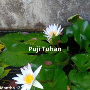 Puji Tuhan