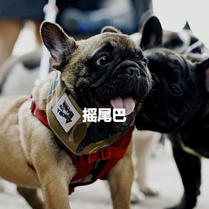 Excellent Sweet Salvations