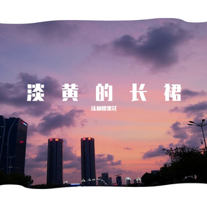 哑巴爱枪-淡黄的长裙